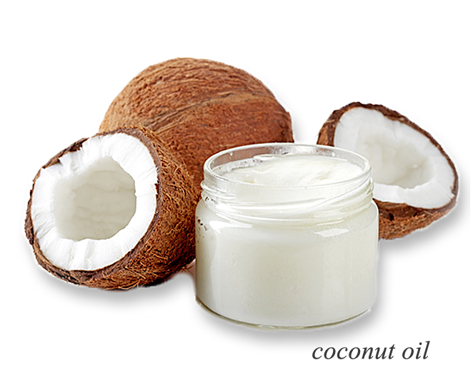 jocobalm coconut
